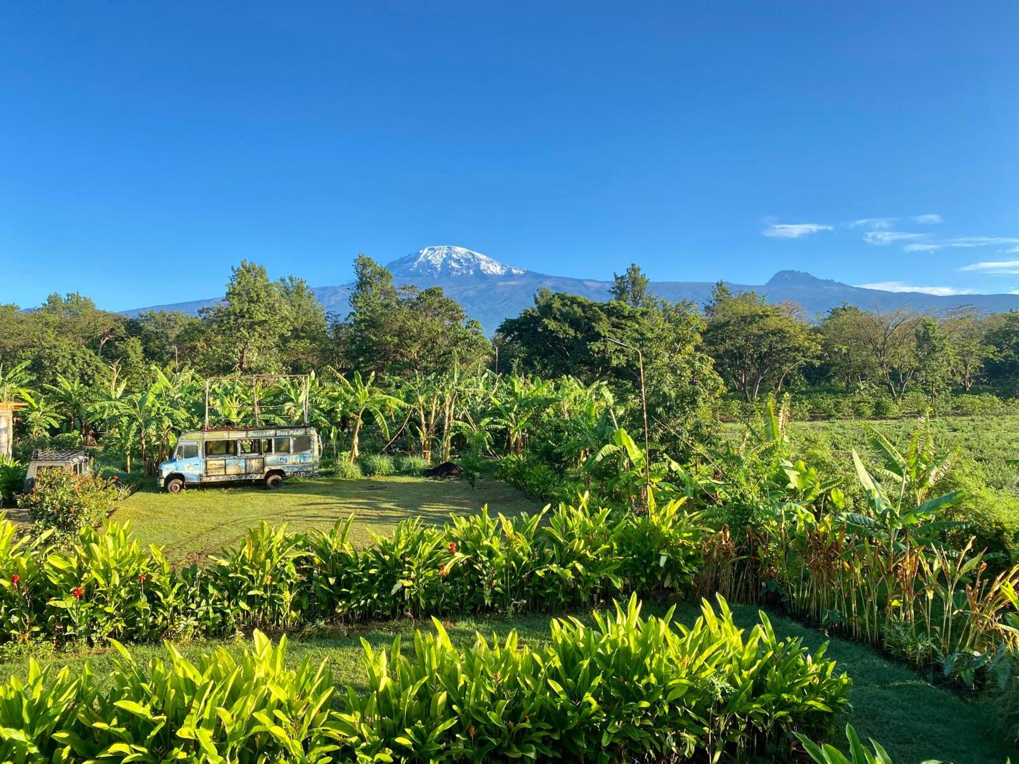 Mount Kilimanjaro 360 View Cottage Uru Kültér fotó