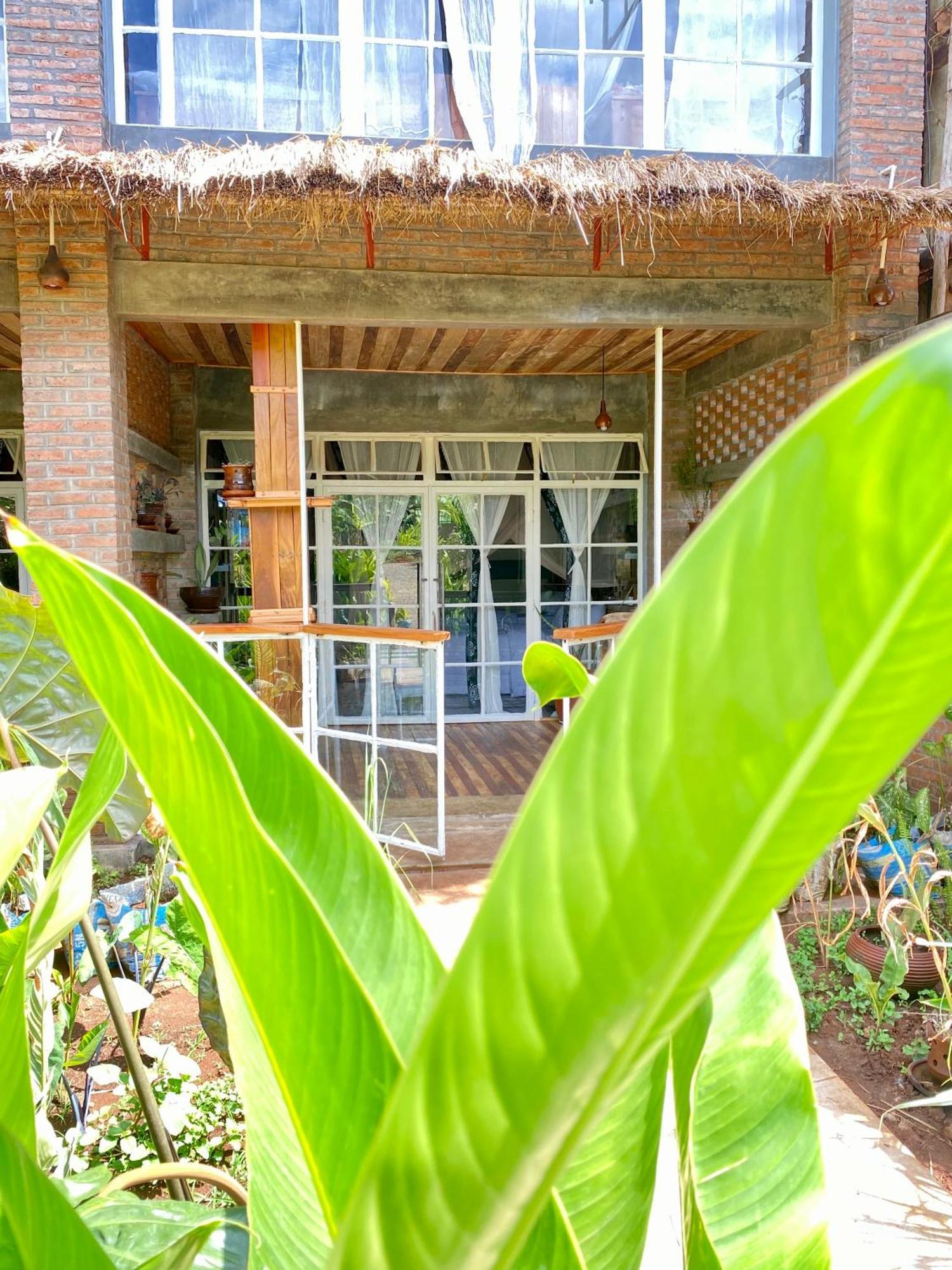 Mount Kilimanjaro 360 View Cottage Uru Kültér fotó