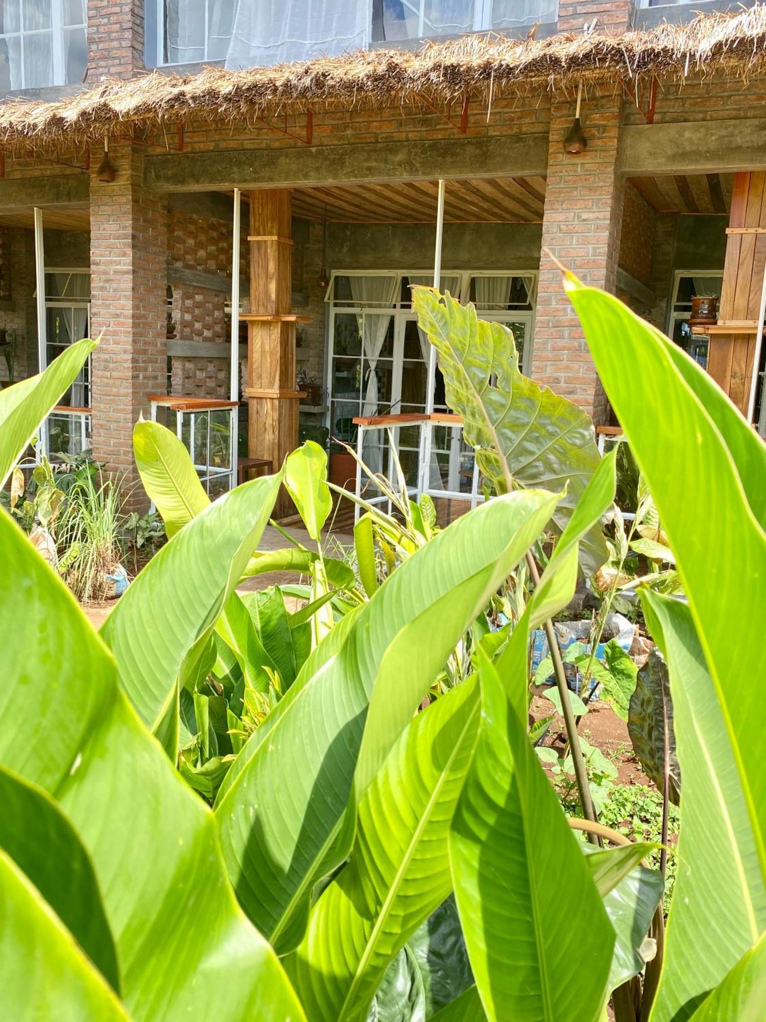 Mount Kilimanjaro 360 View Cottage Uru Kültér fotó