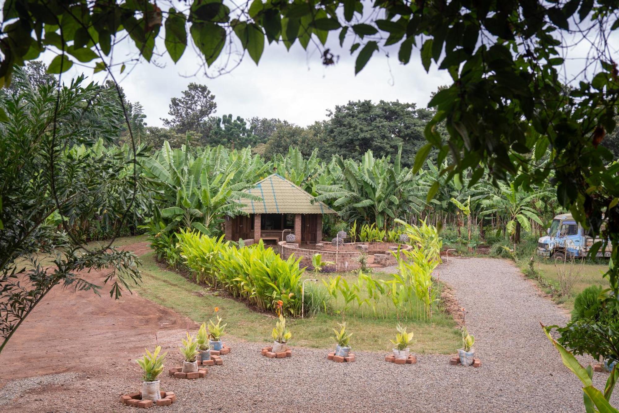 Mount Kilimanjaro 360 View Cottage Uru Kültér fotó