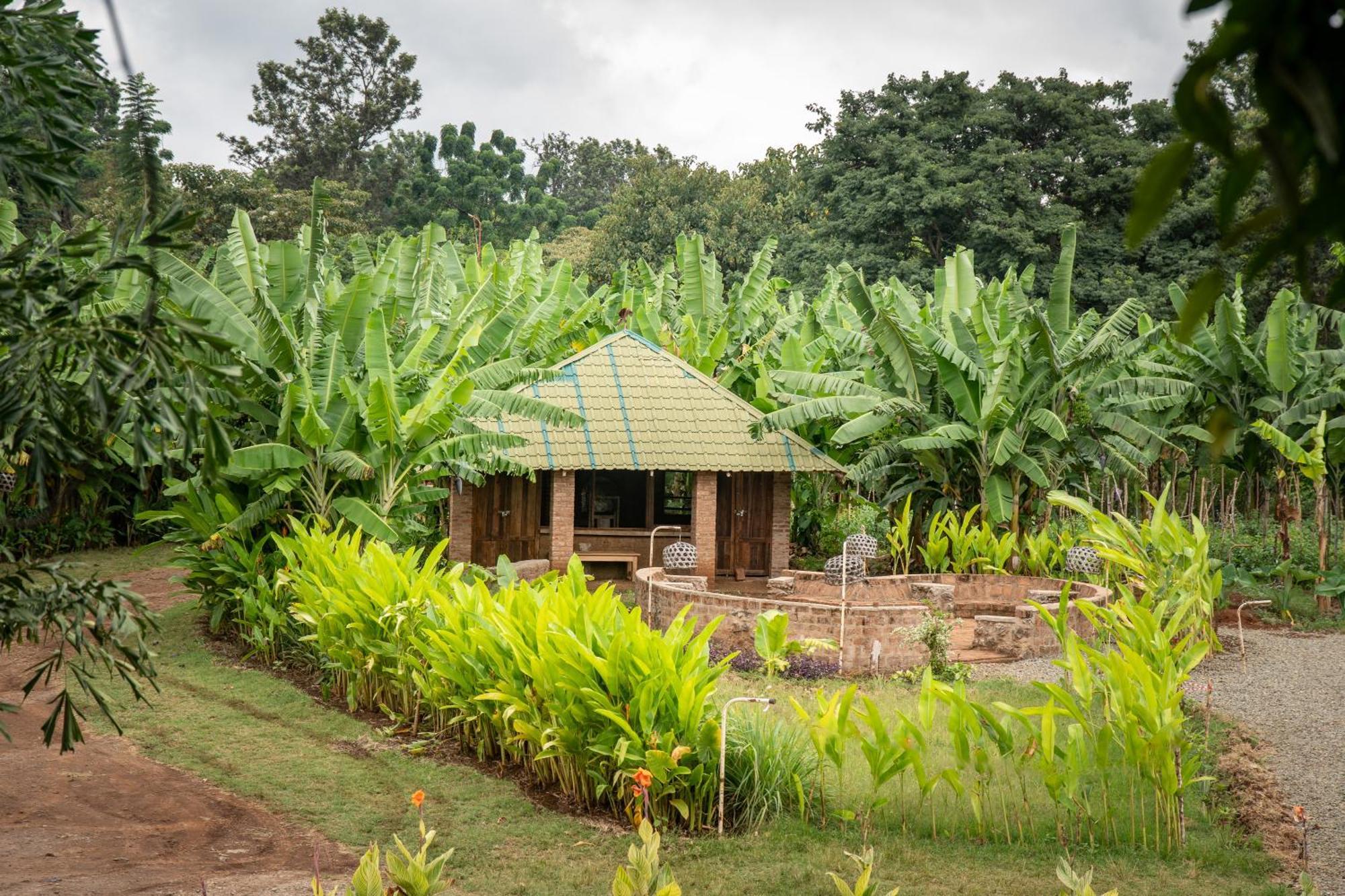 Mount Kilimanjaro 360 View Cottage Uru Kültér fotó