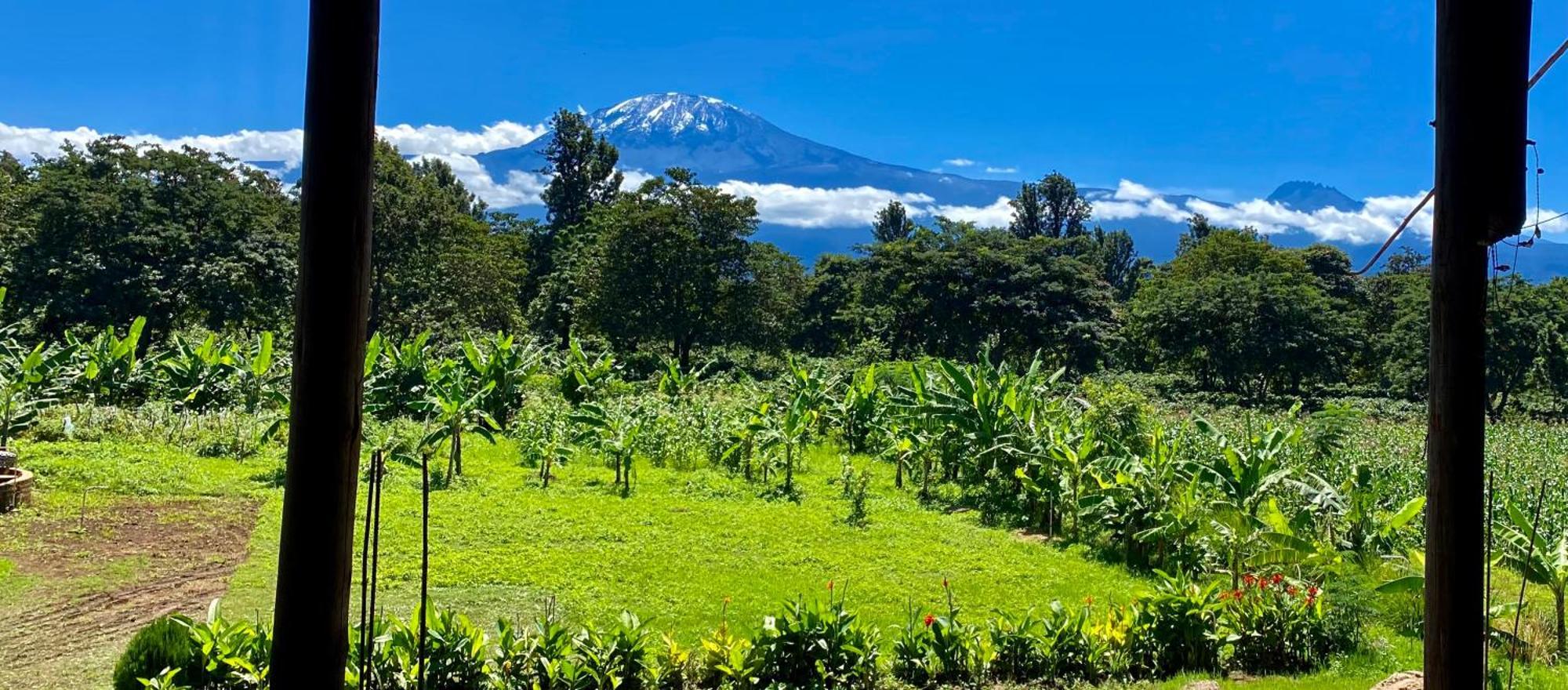 Mount Kilimanjaro 360 View Cottage Uru Kültér fotó