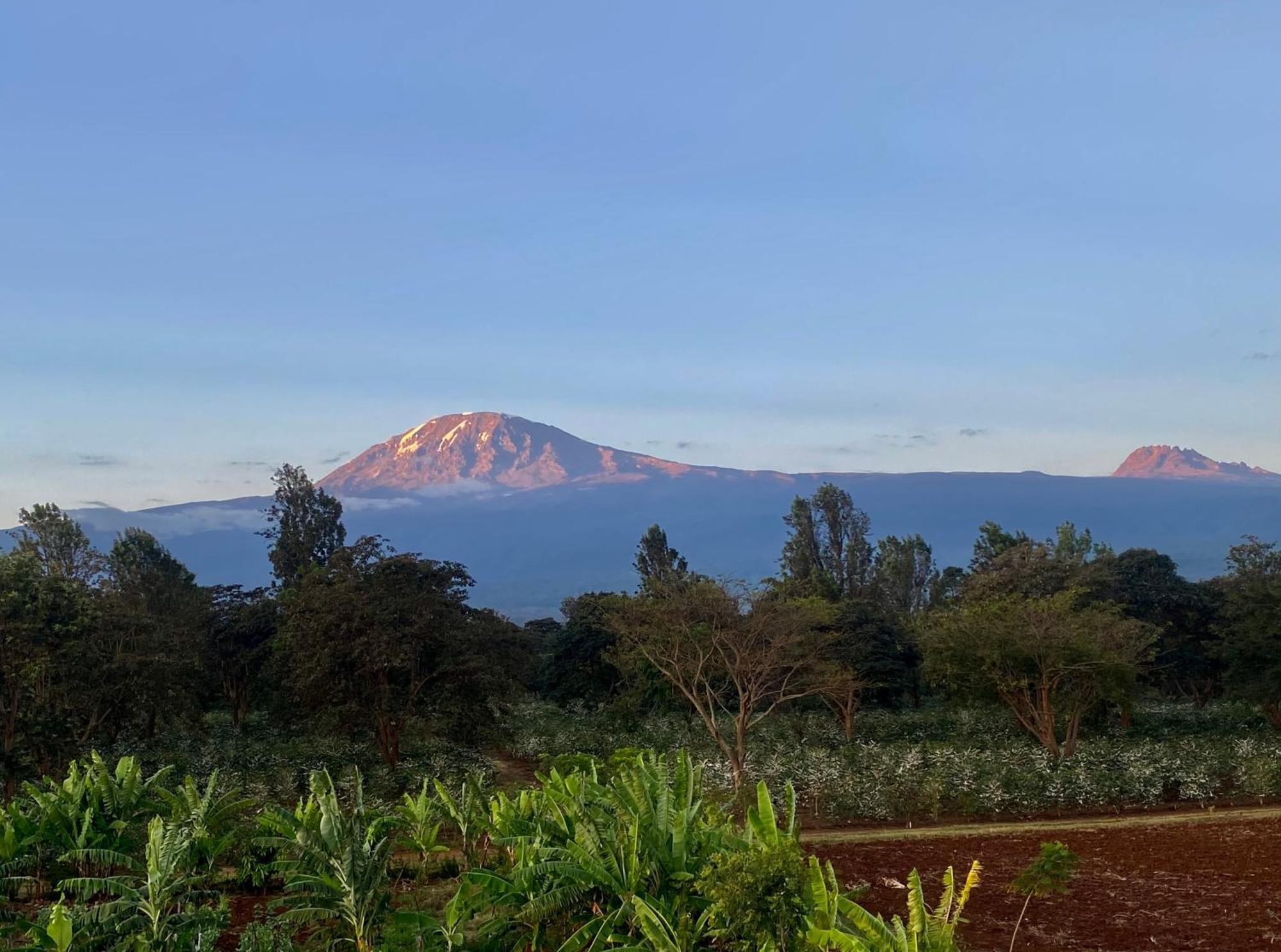 Mount Kilimanjaro 360 View Cottage Uru Kültér fotó